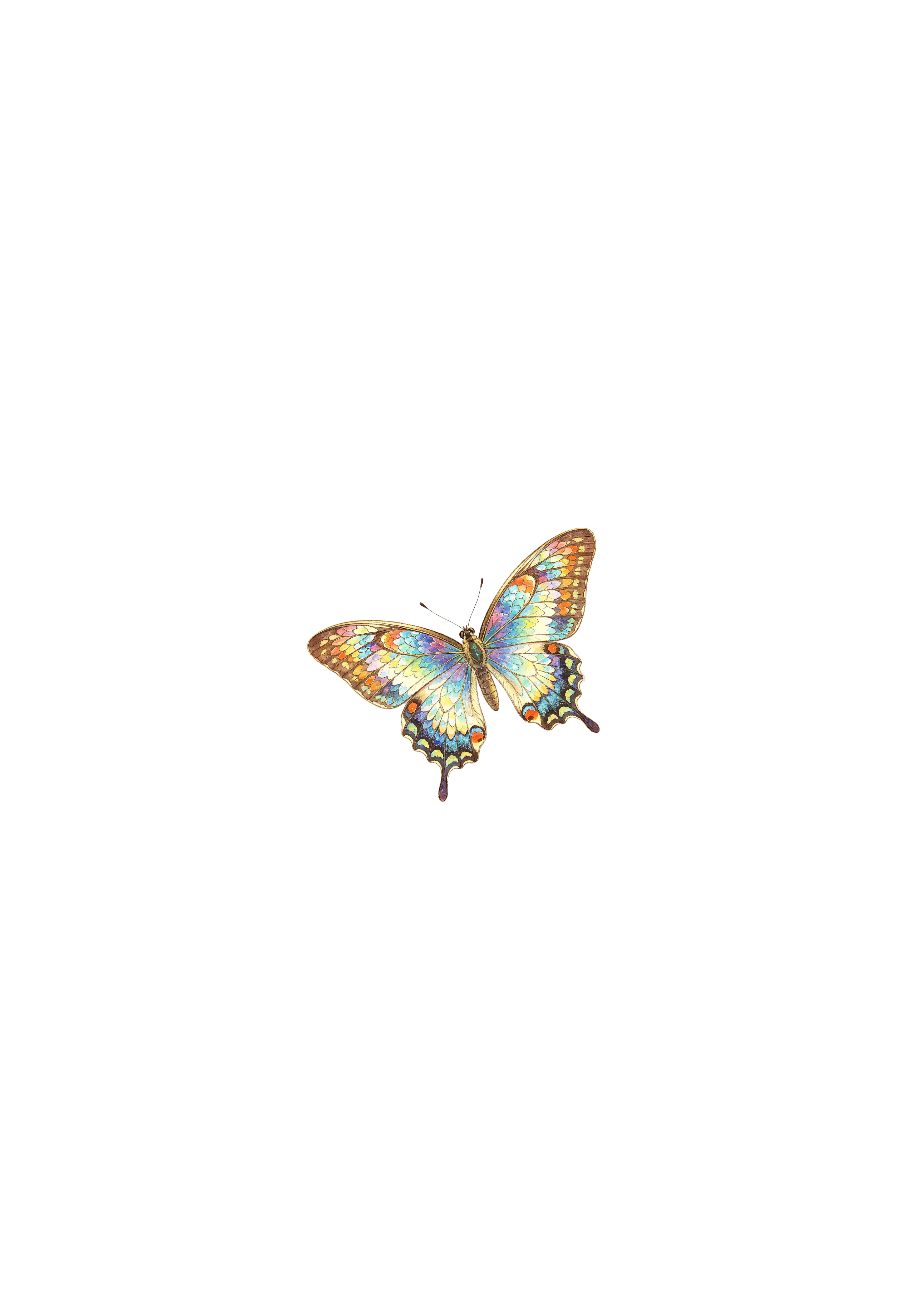 Interaction Butterfly